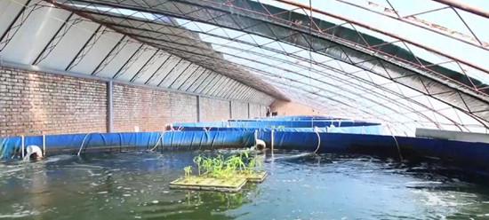 005_副本.jpg 005_副本.jpg