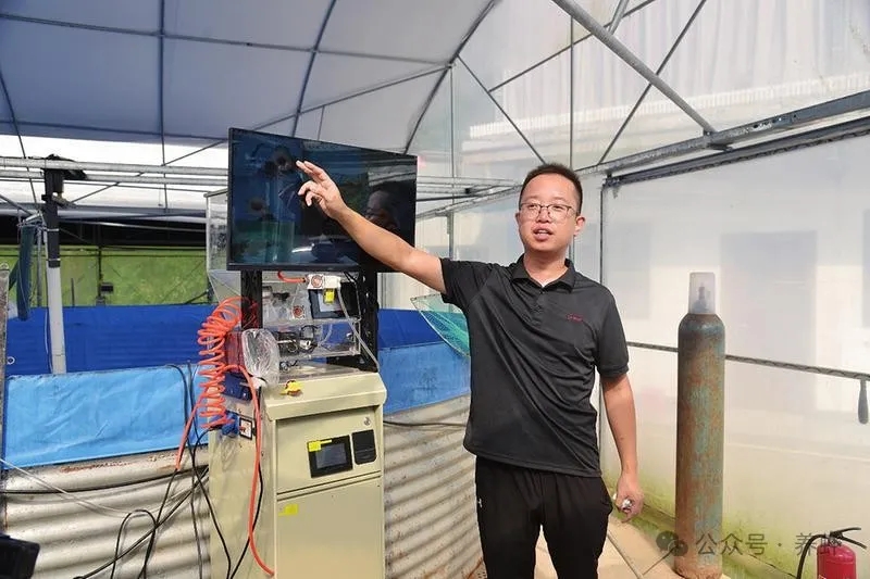 006.webp.jpg 006.webp.jpg