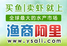 ���̰���