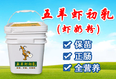 ����Ϻ����