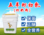 ����Ϻ����