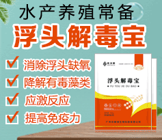 ��ͷ�ⶾ��